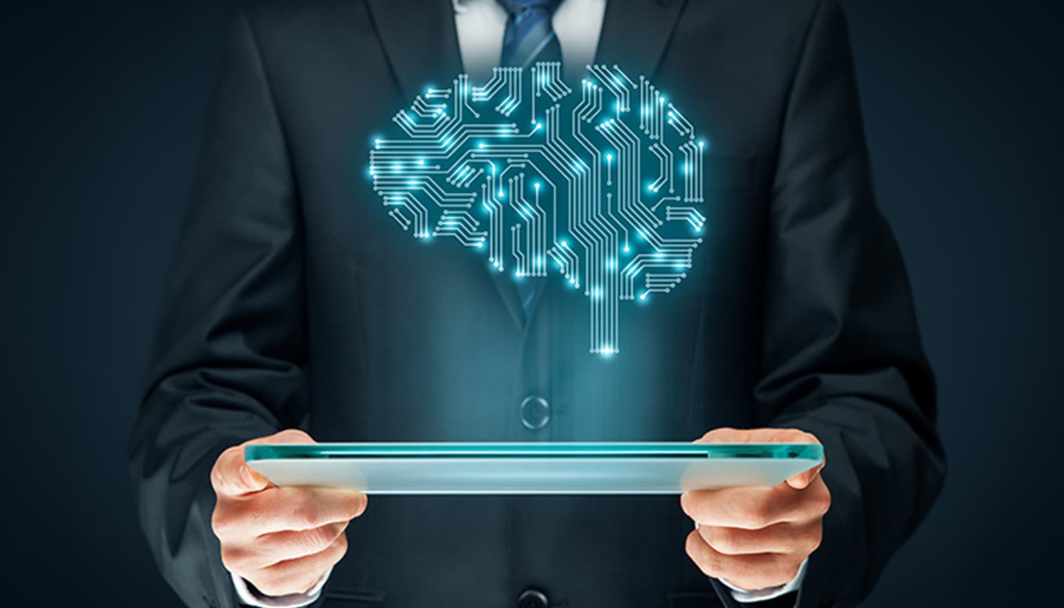 Smart Law Annotator